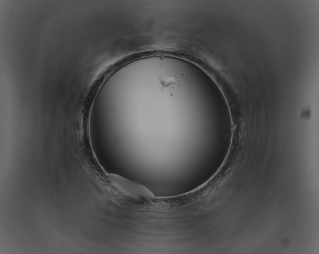 X0000093611214200710221600