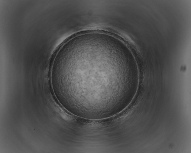 X0000093611216200710221600