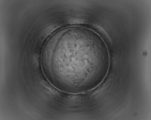 X0000093611217200710221600