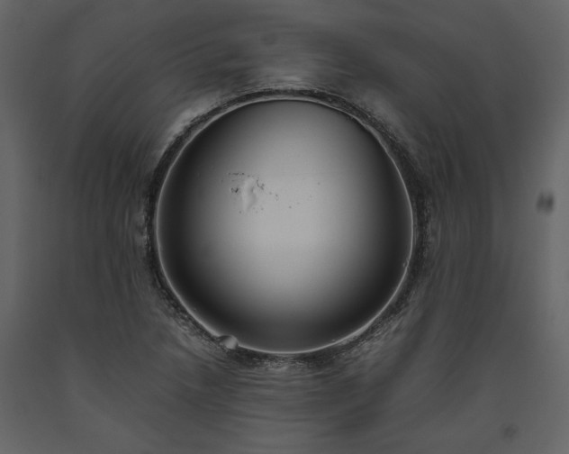 X0000093611218200710221600