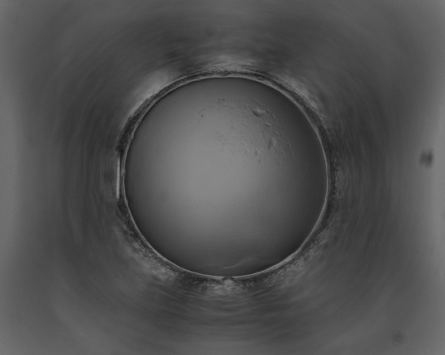 X0000093611219200710221600