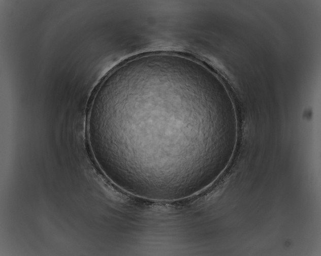X0000093611220200710221600