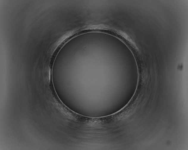 X0000093611221200710221600
