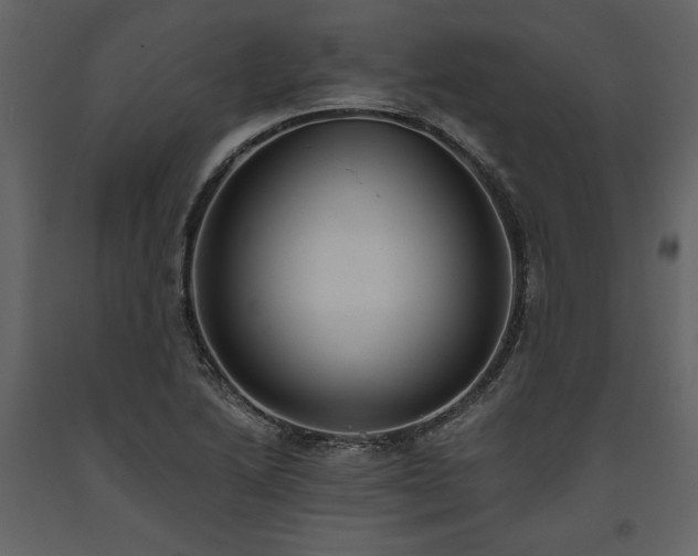 X0000093611222200710221600