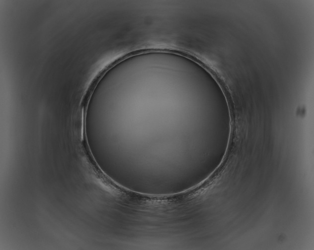 X0000093611223200710221600