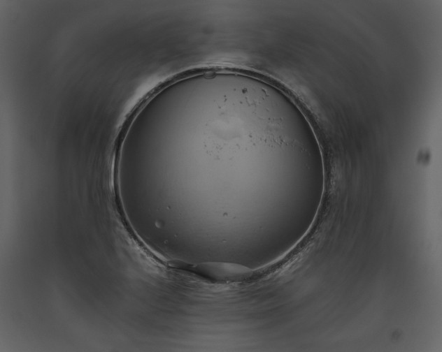 X0000093611224200710221600