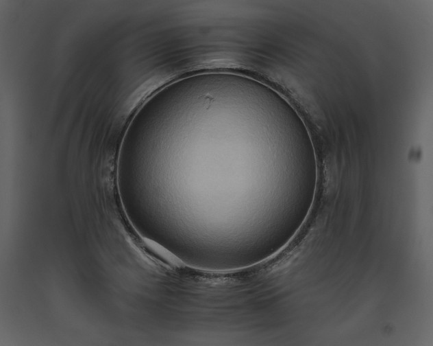 X0000093611225200710221600