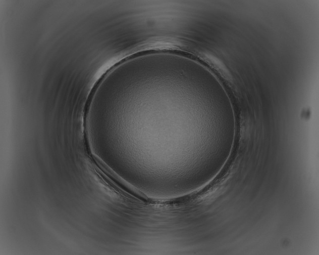X0000093611226200710221600