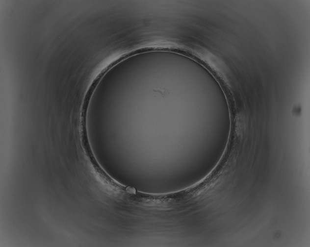 X0000093611229200710221600