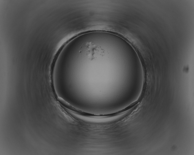 X0000093611230200710221600