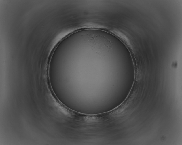 X0000093611231200710221600