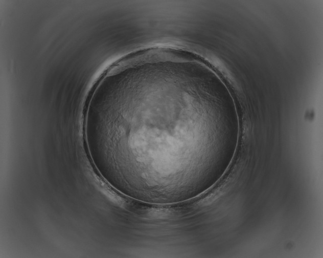 X0000093611232200710221600
