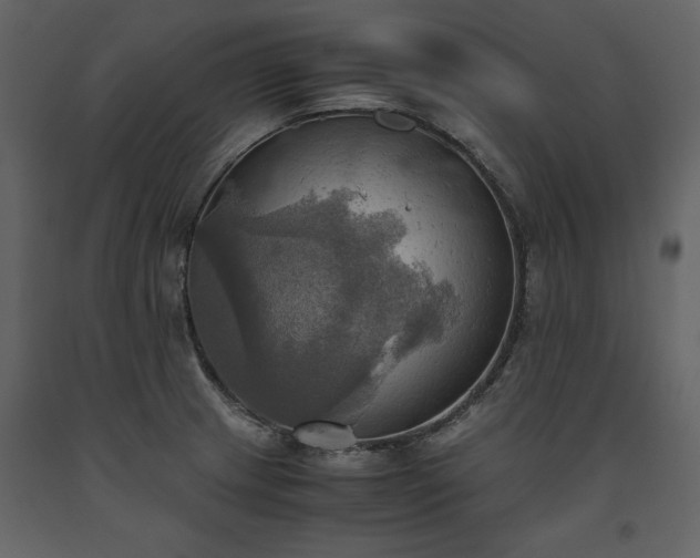 X0000093611233200710221600