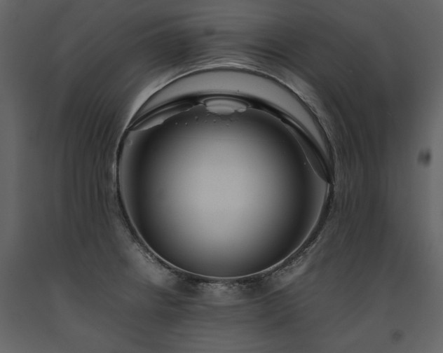 X0000093611234200710221600