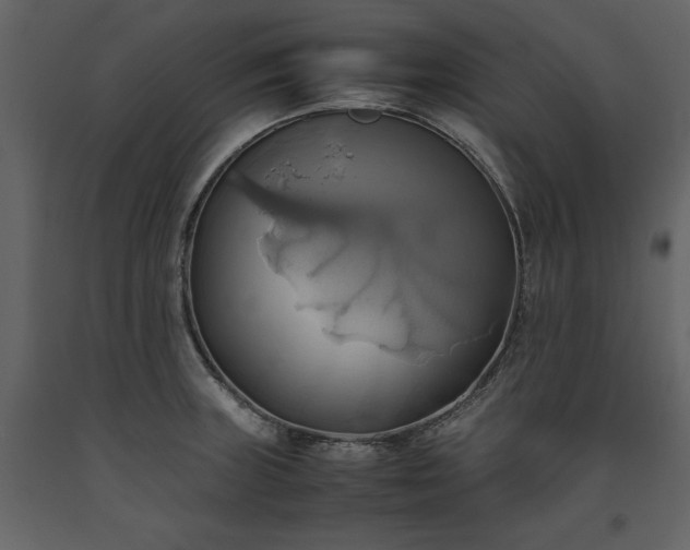 X0000093611235200710221600