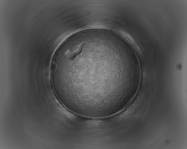 X0000093611236200710221600