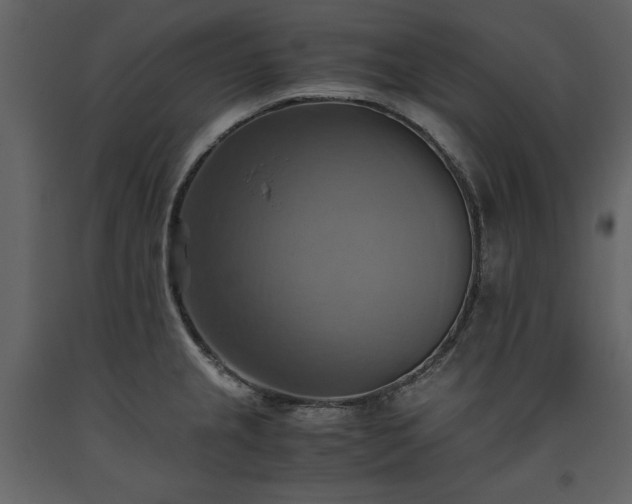 X0000093611237200710221600