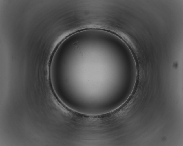 X0000093611238200710221600