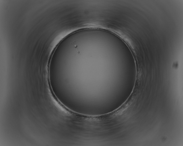 X0000093611239200710221600