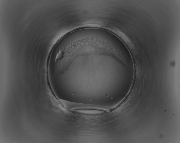 X0000093611240200710221600