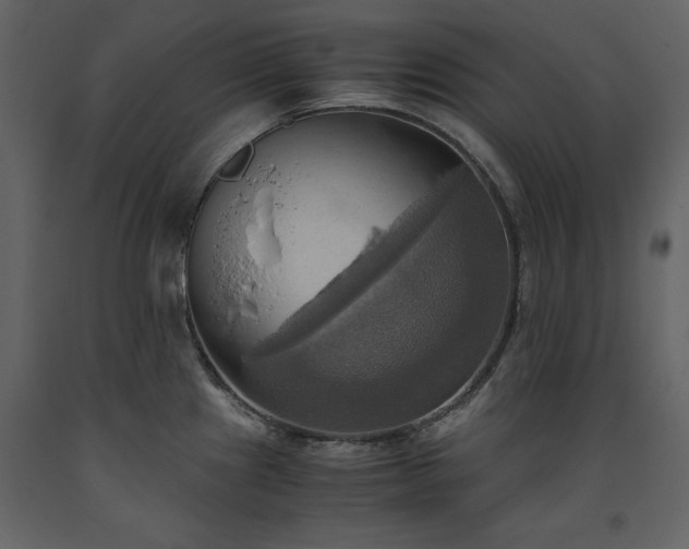 X0000093611241200710221600