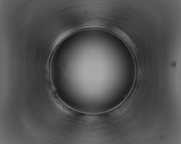 X0000093611242200710221600