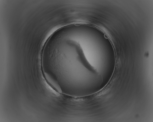 X0000093611243200710221600