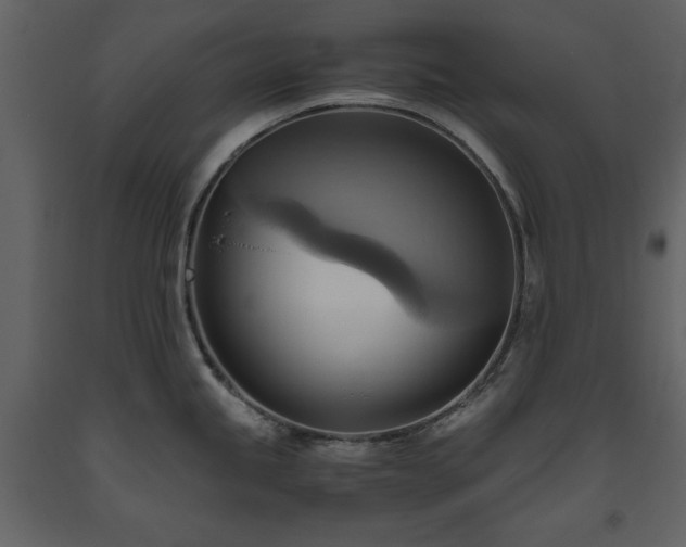 X0000093611245200710221600
