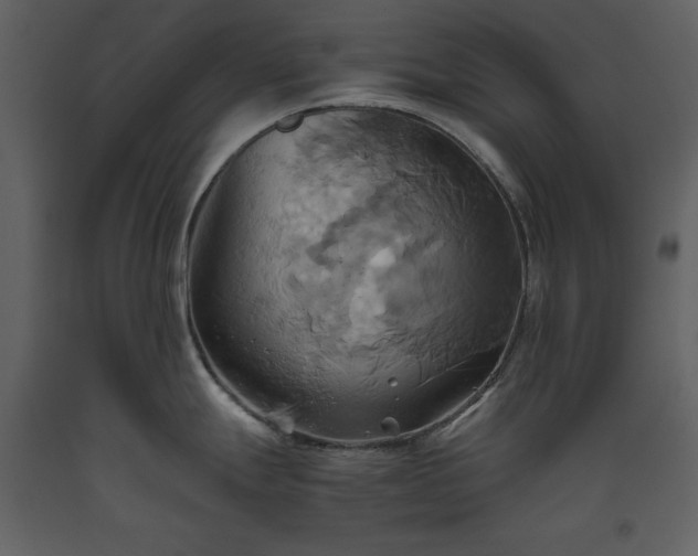 X0000093611247200710221601