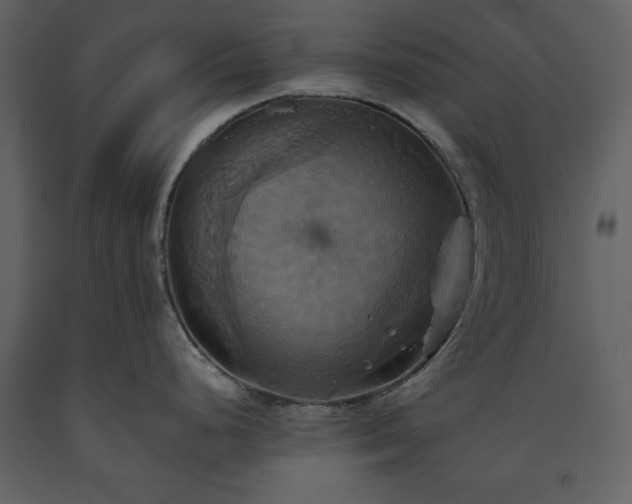 X0000093611248200710221601