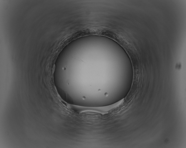 X0000093611249200710221600