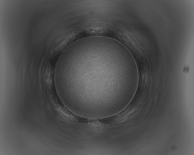 X0000093611250200710221600