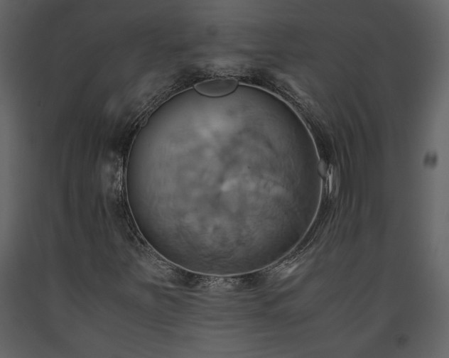 X0000093611251200710221600