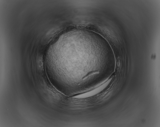 X0000093611252200710221600