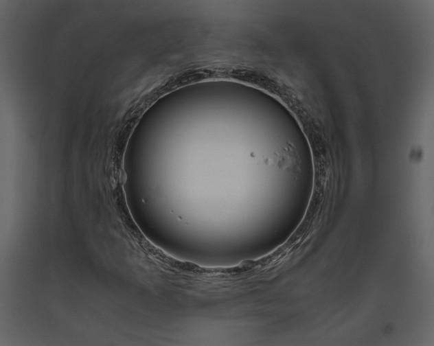 X0000093611253200710221600