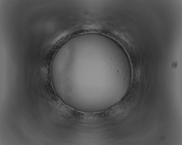 X0000093611254200710221600