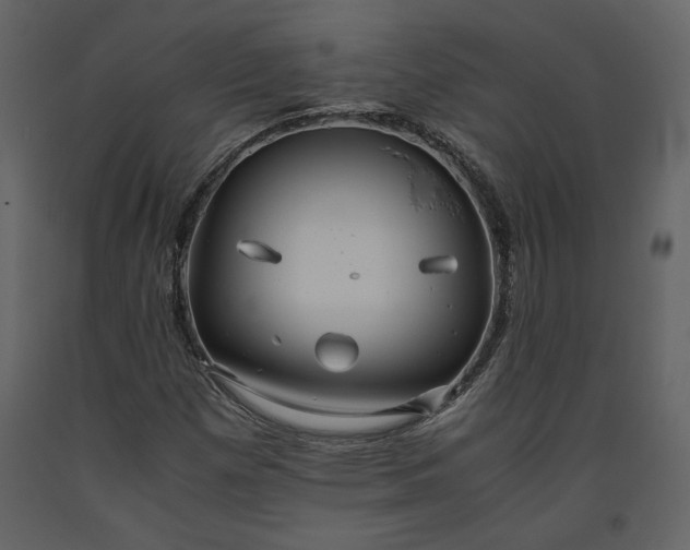 X0000093611257200710221600