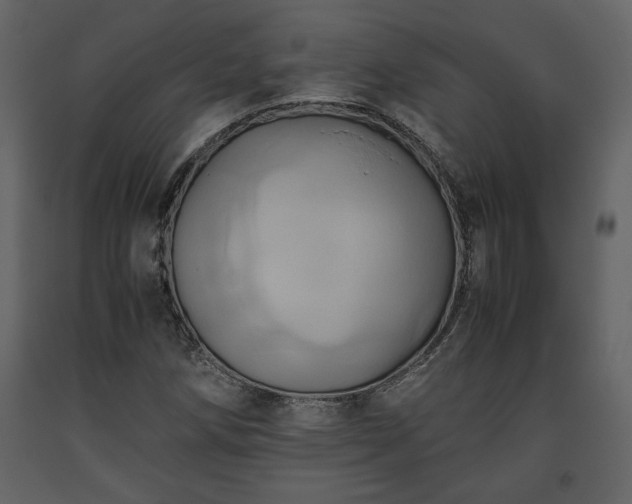 X0000093611258200710221600
