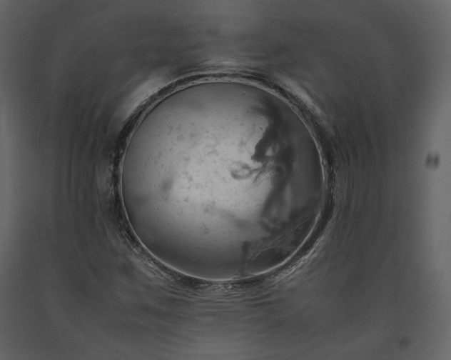 X0000093611259200710221600