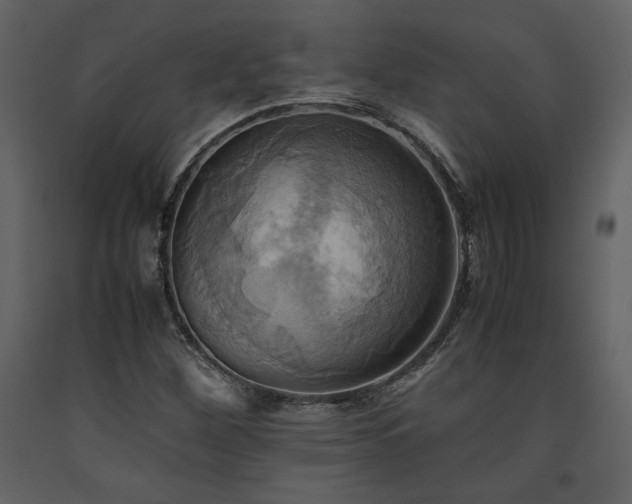 X0000093611260200710221600