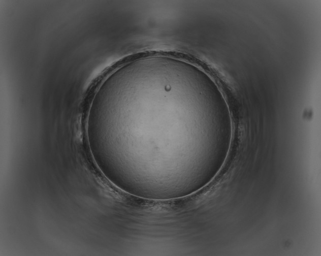 X0000093611262200710221600