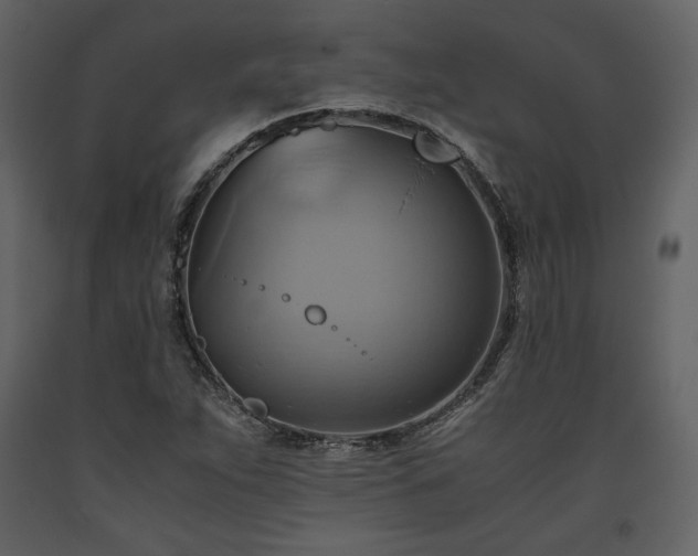 X0000093611263200710221600