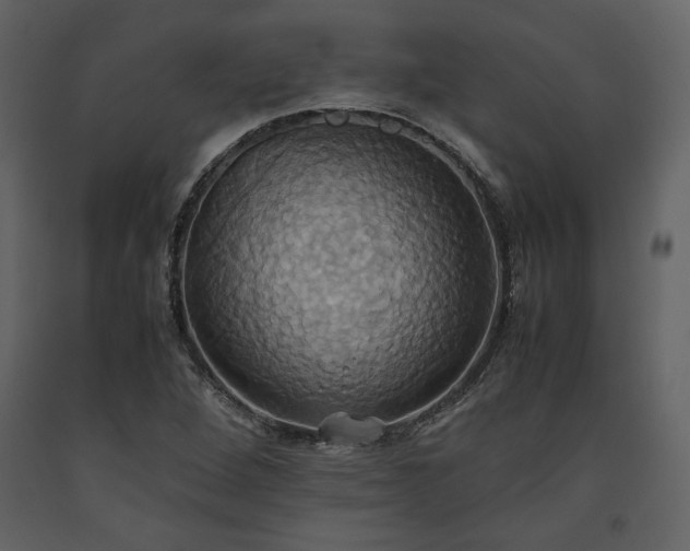 X0000093611264200710221600