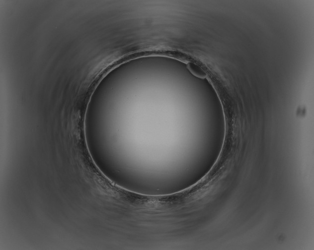 X0000093611265200710221600