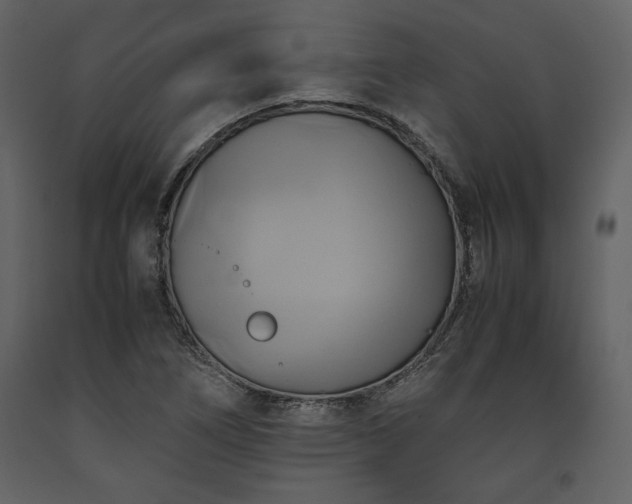 X0000093611266200710221600
