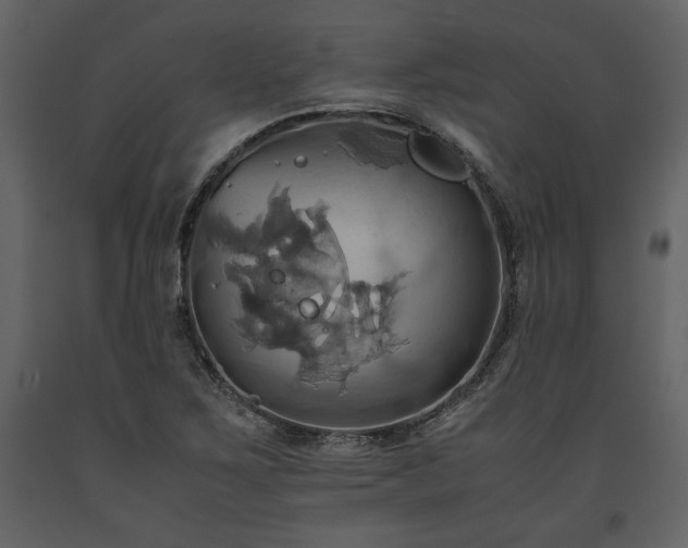 X0000093611267200710221600