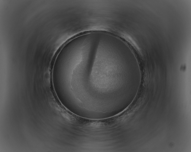 X0000093611268200710221600