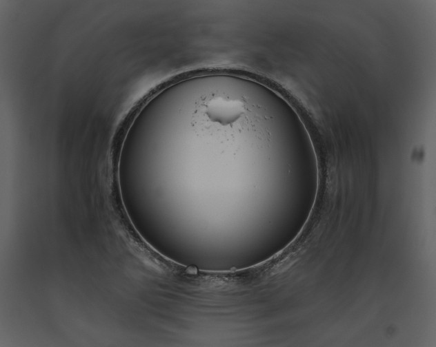 X0000093611270200710221600