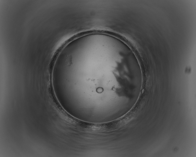 X0000093611271200710221600