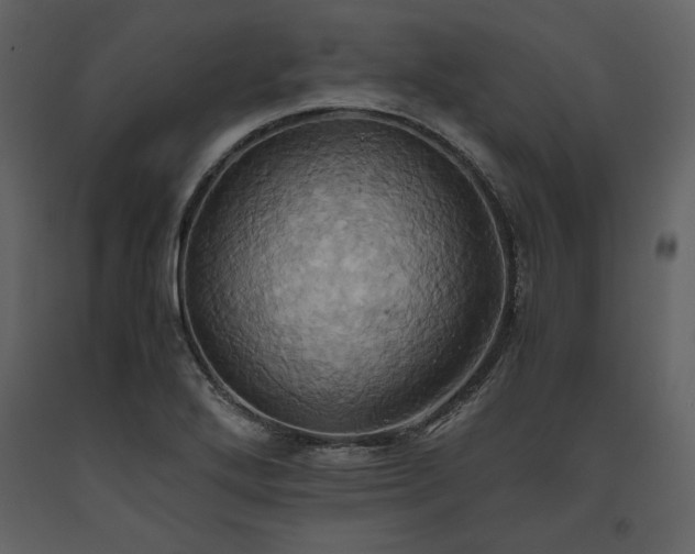 X0000093611272200710221600